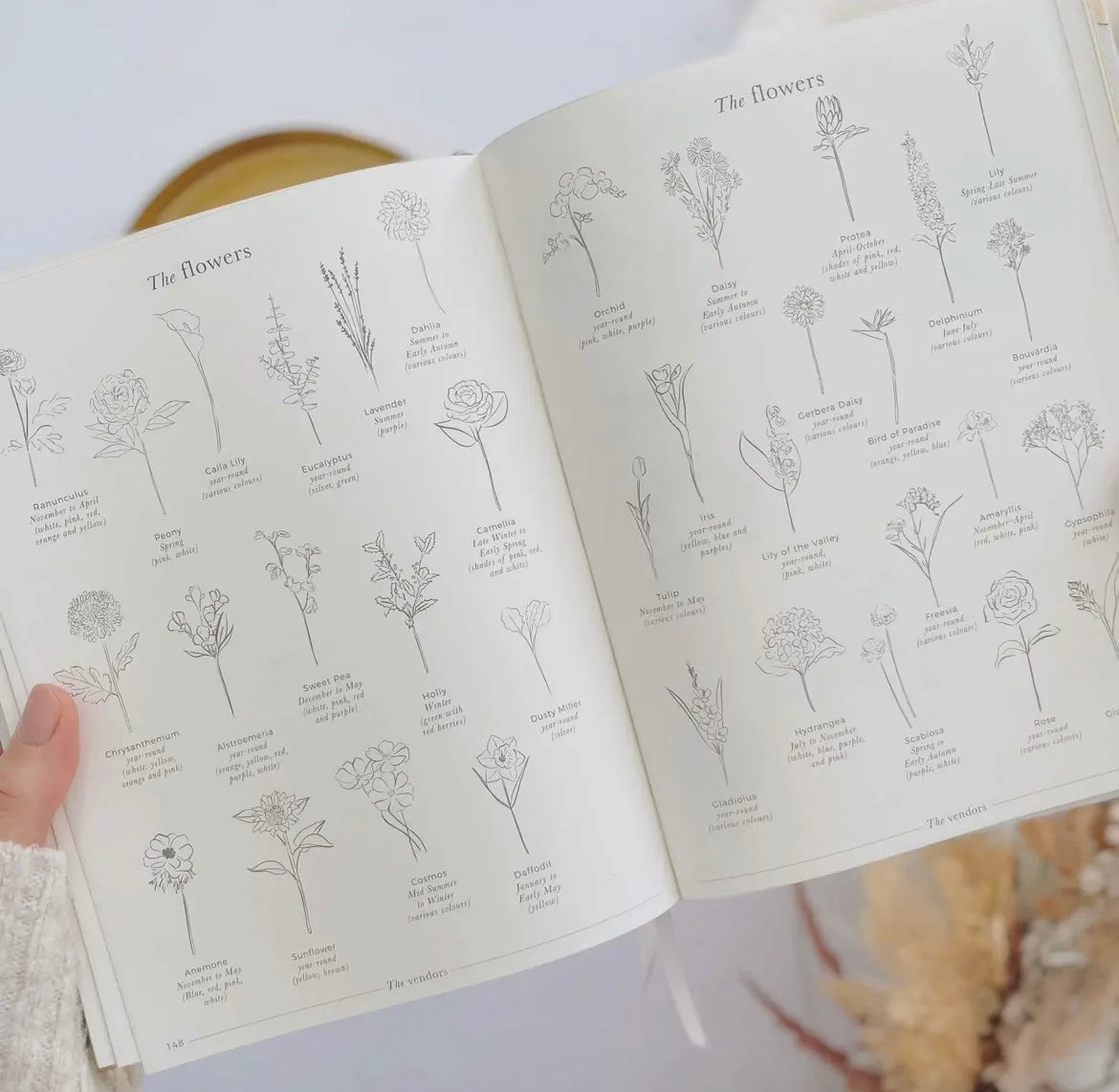 Wedding Luxurious Planner